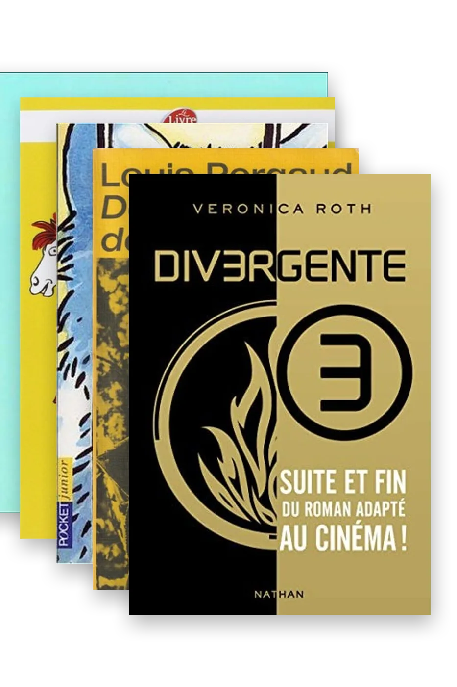La bibliothèque Jeunesse — 11 volumes
