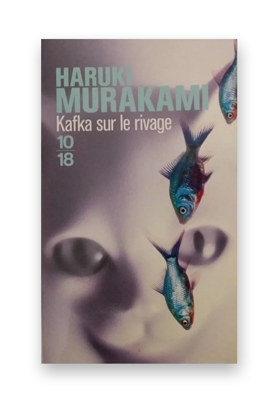 Kafka sur le rivage