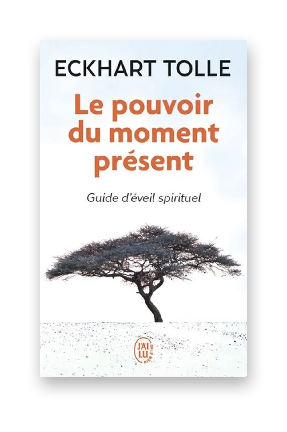 Le Pouvoir du moment présent