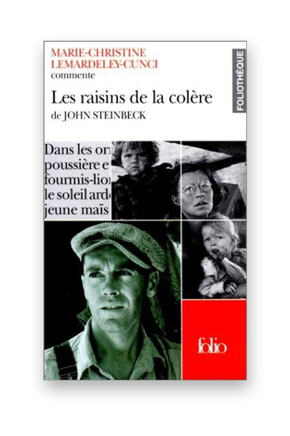 Les Raisins de la colère