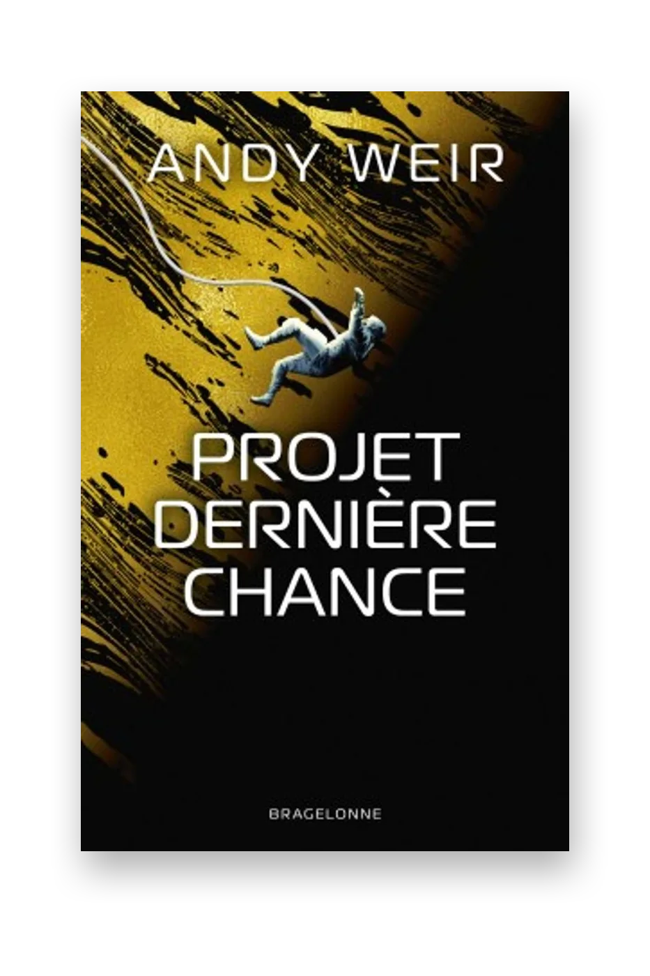 Projet dernière chance